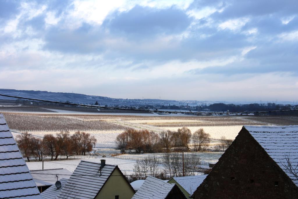 Gites Des Dix Vins Dangolsheim Экстерьер фото